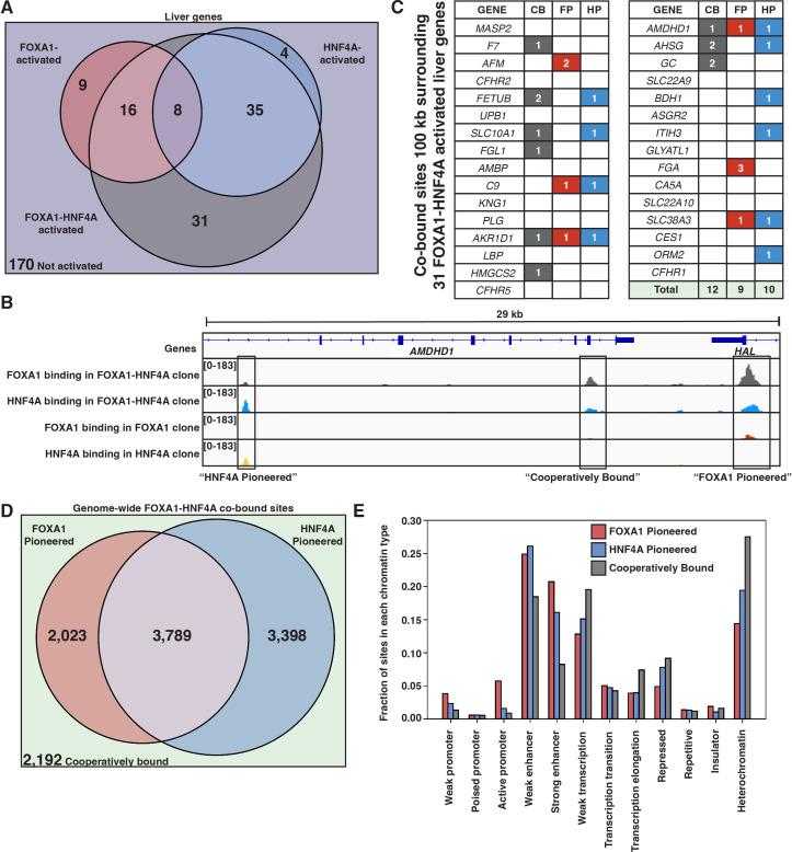 https://cdn.ncbi.nlm.nih.gov/pmc/blobs/52d9/8849321/a7c8d25ee116/elife-73358-fig4.jpg