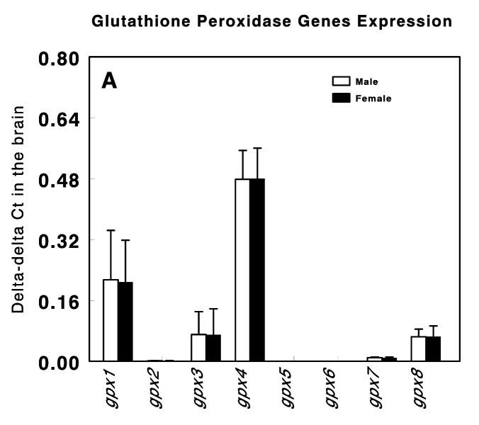 https://cdn.ncbi.nlm.nih.gov/pmc/blobs/52e2/10530768/f3e1cafa7f95/genes-14-01674-g001.jpg