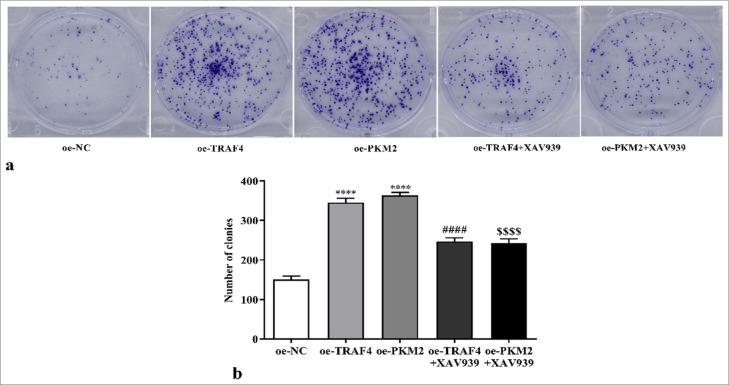 https://cdn.ncbi.nlm.nih.gov/pmc/blobs/52eb/12010814/87b421956740/Cytojournal-22-24-g010.jpg