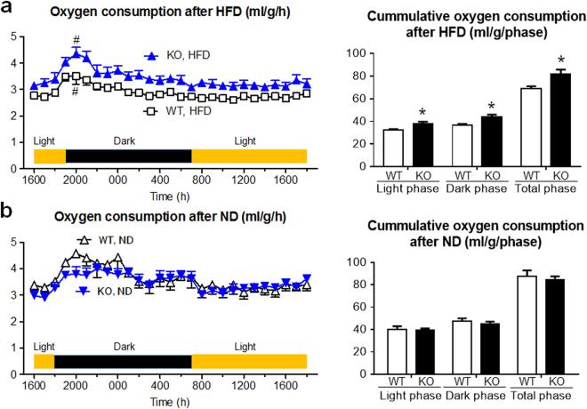 https://cdn.ncbi.nlm.nih.gov/pmc/blobs/5303/5686189/edd7d958fd7a/41598_2017_15825_Fig3_HTML.jpg