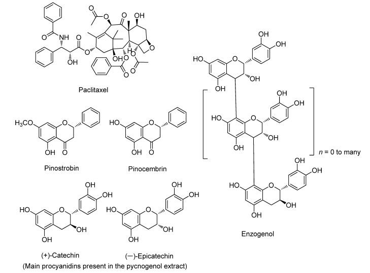 https://cdn.ncbi.nlm.nih.gov/pmc/blobs/5303/8234227/7d6e3353b3b2/ijms-22-06636-g001.jpg