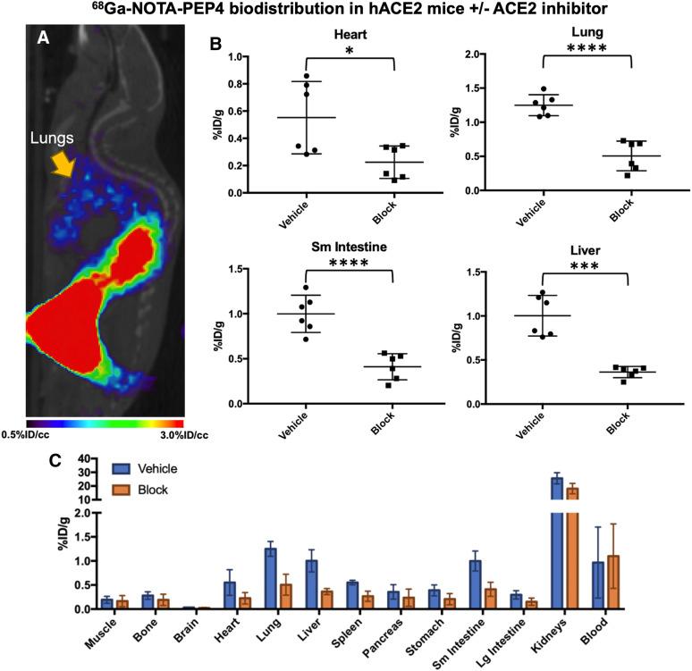 https://cdn.ncbi.nlm.nih.gov/pmc/blobs/5355/8612341/cae9fbe5282d/jnm261768fig4.jpg