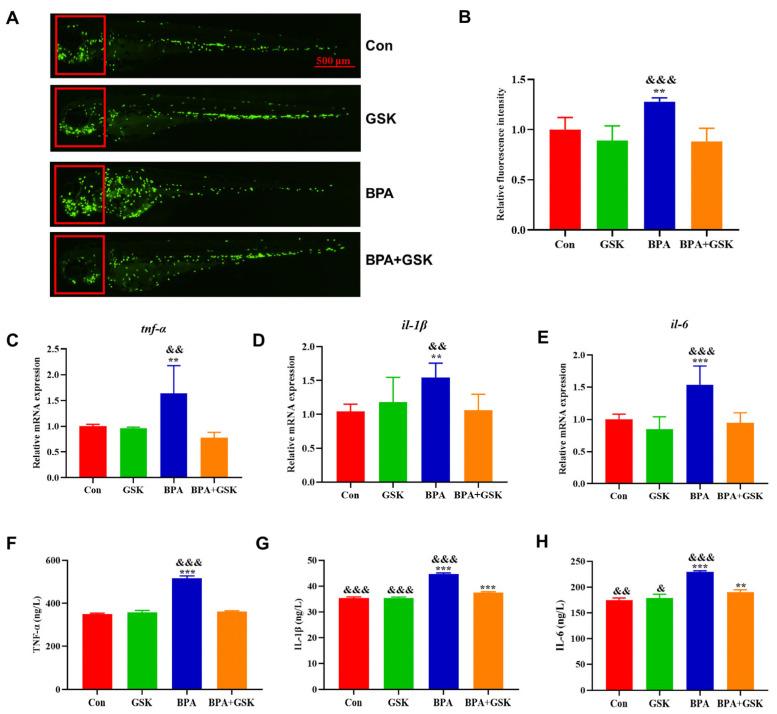 https://cdn.ncbi.nlm.nih.gov/pmc/blobs/5373/12197085/b06988e6a25b/toxics-13-00449-g006.jpg