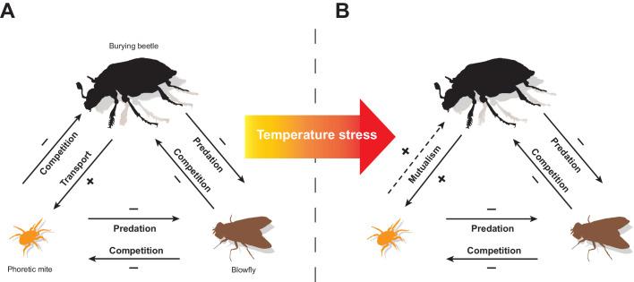 https://cdn.ncbi.nlm.nih.gov/pmc/blobs/538c/7431131/ed3ab1212529/elife-55649-fig5.jpg