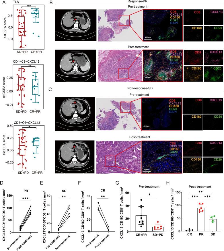 https://cdn.ncbi.nlm.nih.gov/pmc/blobs/5392/11381742/c7e970ce694e/jitc-12-9-g003.jpg
