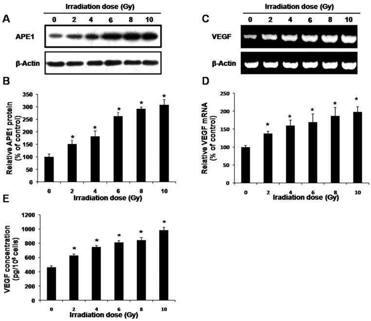 https://cdn.ncbi.nlm.nih.gov/pmc/blobs/5396/3675501/e7716629ce03/ijmsv10p0870g04.jpg