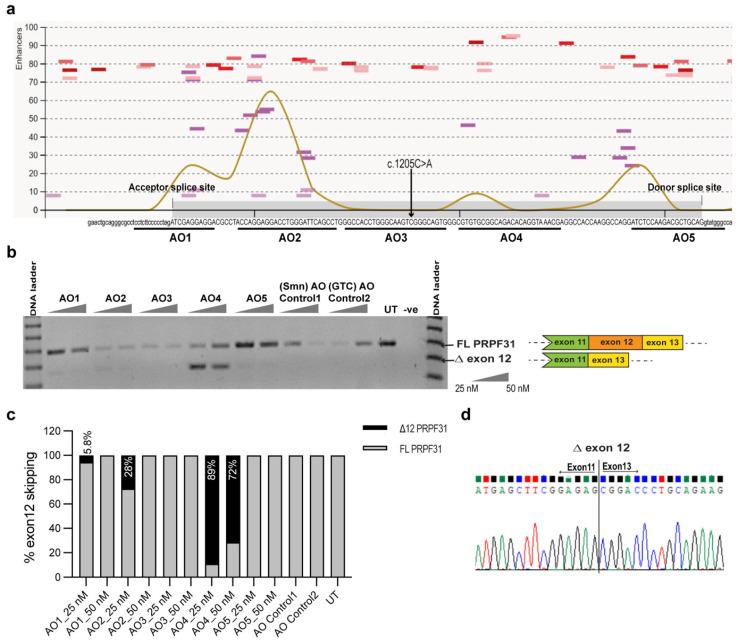 https://cdn.ncbi.nlm.nih.gov/pmc/blobs/5397/10970544/ff448f7e917d/ijms-25-03391-g004.jpg
