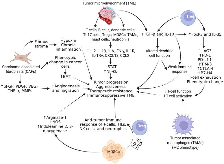 https://cdn.ncbi.nlm.nih.gov/pmc/blobs/53aa/12190701/3bfc3d9efdbb/biomolecules-15-00751-g003.jpg