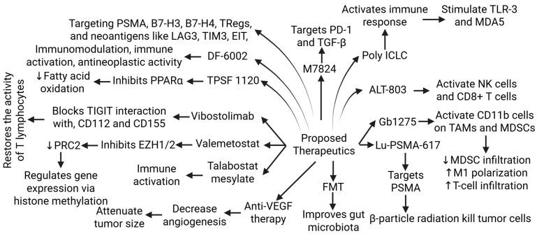 https://cdn.ncbi.nlm.nih.gov/pmc/blobs/53aa/12190701/4f9258f91aa9/biomolecules-15-00751-g005.jpg