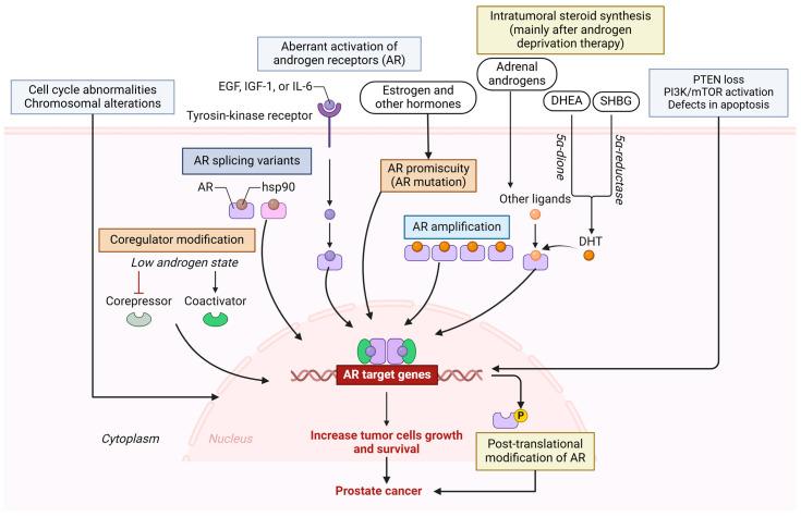 https://cdn.ncbi.nlm.nih.gov/pmc/blobs/53aa/12190701/c883adc6711a/biomolecules-15-00751-g004.jpg