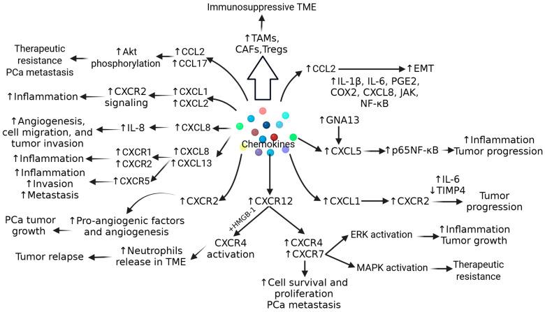 https://cdn.ncbi.nlm.nih.gov/pmc/blobs/53aa/12190701/fc1e4cb9562f/biomolecules-15-00751-g002.jpg