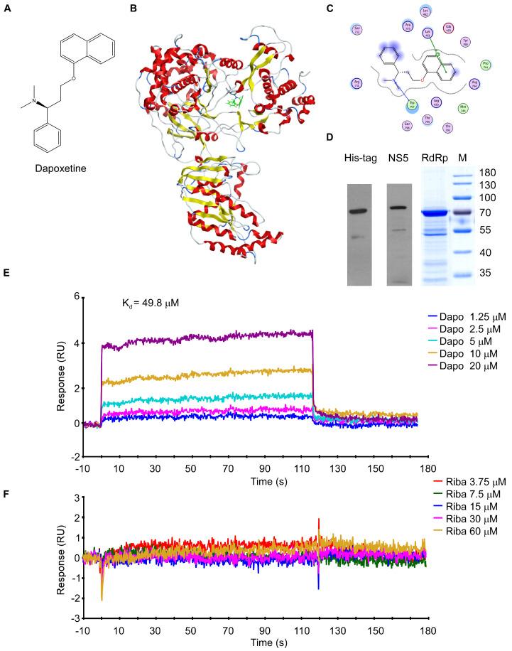 https://cdn.ncbi.nlm.nih.gov/pmc/blobs/53b7/10745718/0cfd936cf1a5/molecules-28-08142-g001.jpg