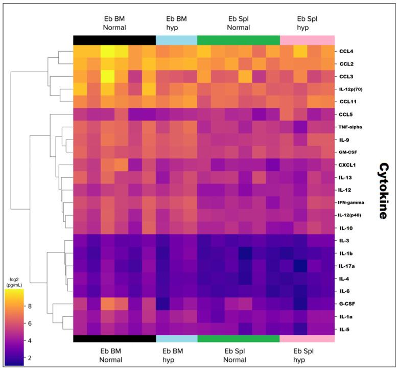 https://cdn.ncbi.nlm.nih.gov/pmc/blobs/53df/10741844/02406d469cec/cells-12-02810-g011.jpg