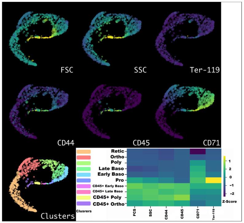 https://cdn.ncbi.nlm.nih.gov/pmc/blobs/53df/10741844/18bed5cb7bb2/cells-12-02810-g005.jpg