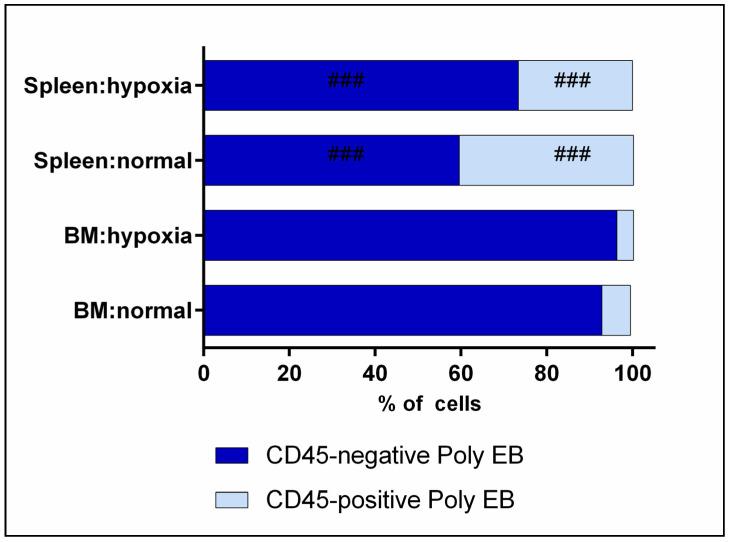 https://cdn.ncbi.nlm.nih.gov/pmc/blobs/53df/10741844/74ffb8523056/cells-12-02810-g009.jpg
