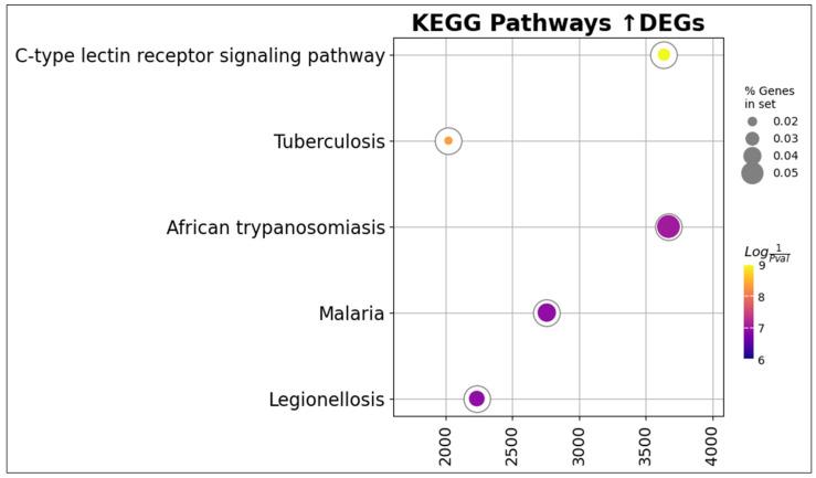 https://cdn.ncbi.nlm.nih.gov/pmc/blobs/53df/10741844/c64f7bbfb493/cells-12-02810-g014.jpg