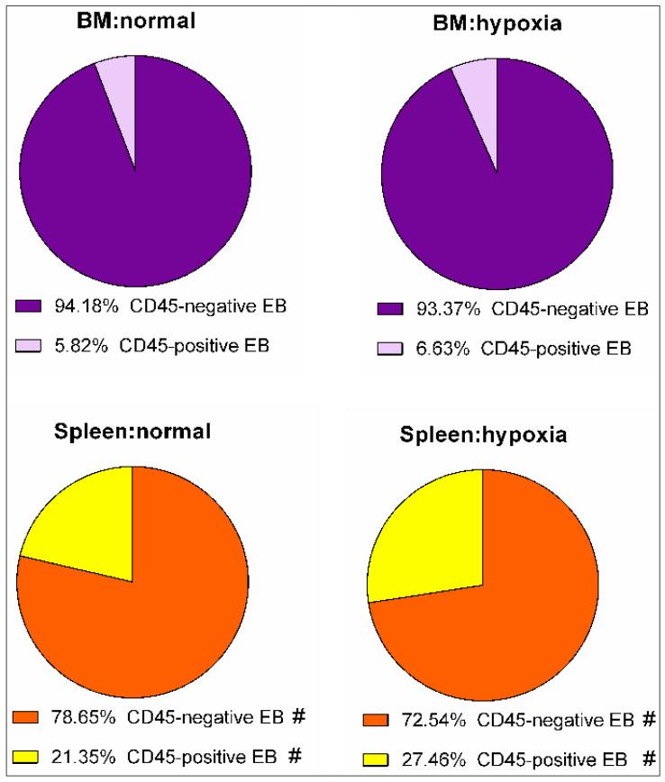 https://cdn.ncbi.nlm.nih.gov/pmc/blobs/53df/10741844/ebfb36b11694/cells-12-02810-g006.jpg