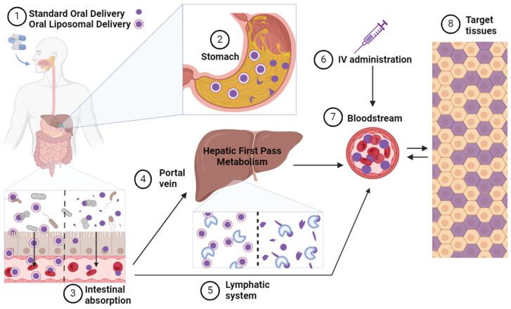 https://cdn.ncbi.nlm.nih.gov/pmc/blobs/53f2/11205942/61fcf3403c87/metabolites-14-00341-g003.jpg