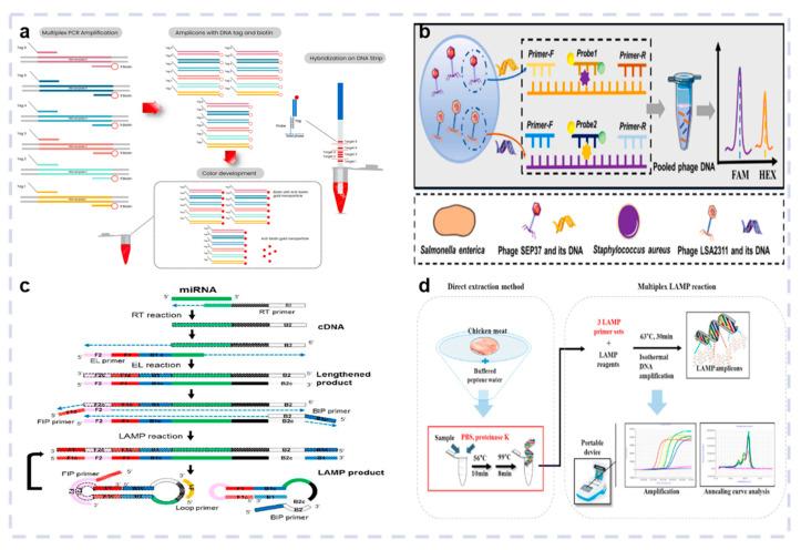 https://cdn.ncbi.nlm.nih.gov/pmc/blobs/53fd/12191064/1df5de37b410/biosensors-15-00378-g004.jpg