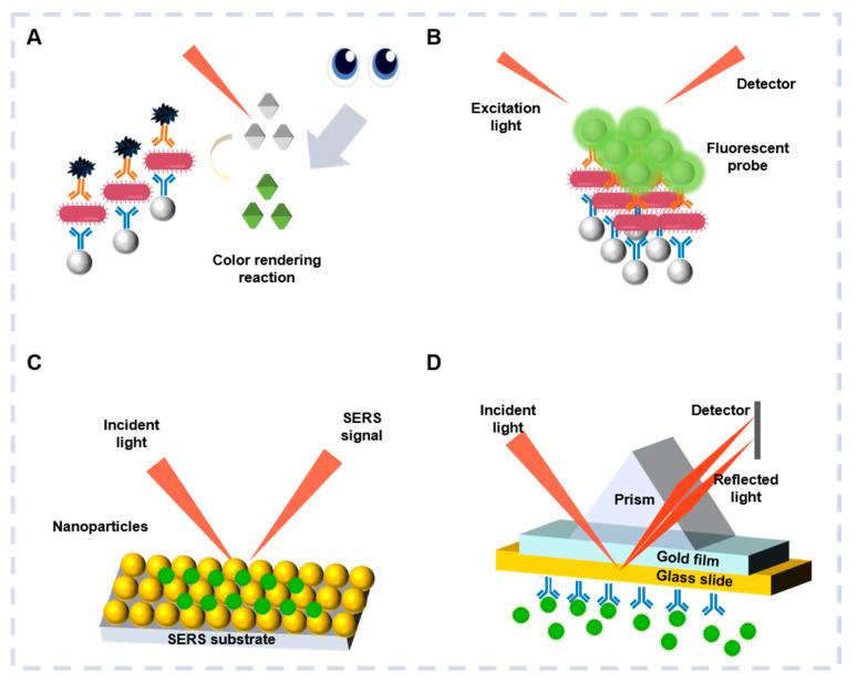 https://cdn.ncbi.nlm.nih.gov/pmc/blobs/53fd/12191064/710a47828309/biosensors-15-00378-g002.jpg