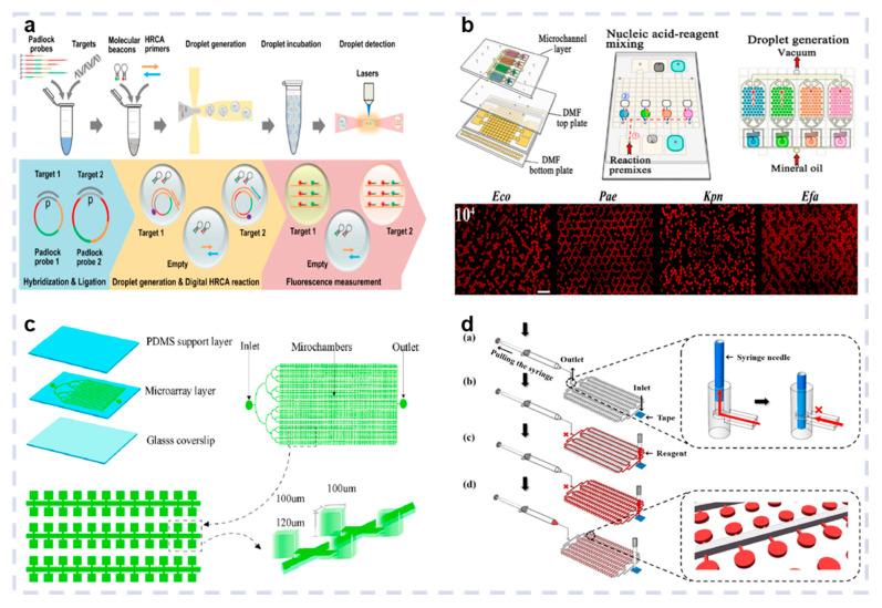 https://cdn.ncbi.nlm.nih.gov/pmc/blobs/53fd/12191064/d42585a7d33f/biosensors-15-00378-g005.jpg