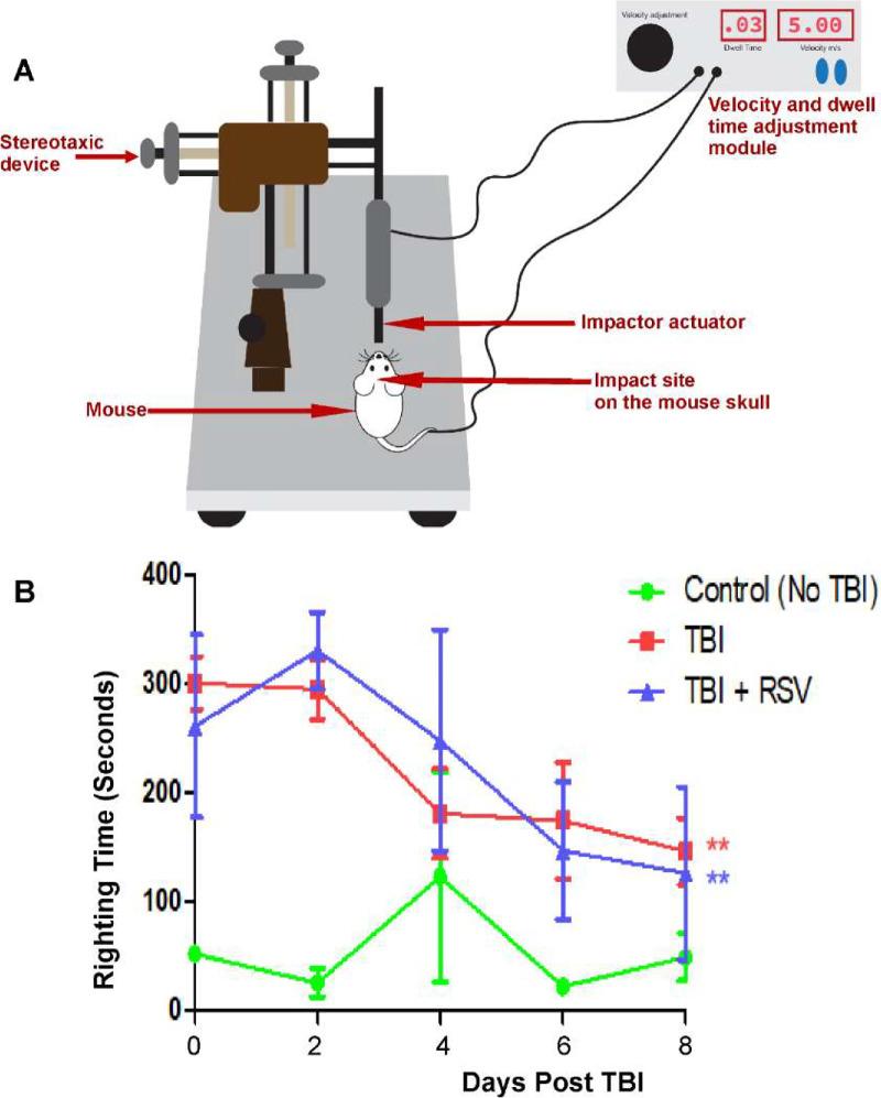 https://cdn.ncbi.nlm.nih.gov/pmc/blobs/540f/11437676/d22242182e45/tvst-13-9-27-f001.jpg