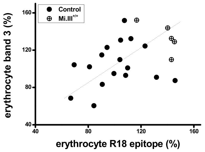 https://cdn.ncbi.nlm.nih.gov/pmc/blobs/5444/9653601/9fee593cebc7/cells-11-03512-g002.jpg