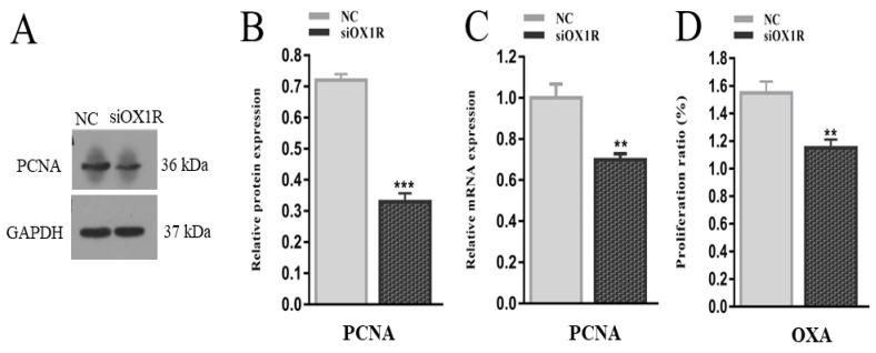 https://cdn.ncbi.nlm.nih.gov/pmc/blobs/5450/8467508/d016df40d246/molecules-26-05635-g006.jpg