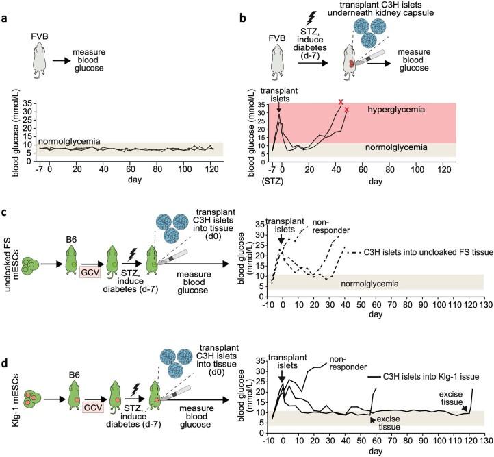 https://cdn.ncbi.nlm.nih.gov/pmc/blobs/546b/11087263/bbee467c14d9/41551_2023_1133_Fig15_ESM.jpg