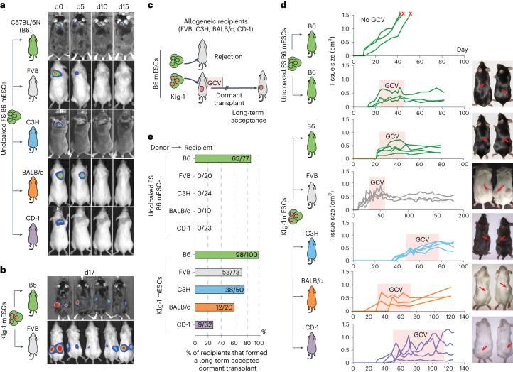 https://cdn.ncbi.nlm.nih.gov/pmc/blobs/546b/11087263/f9e7bd6cd698/41551_2023_1133_Fig2_HTML.jpg