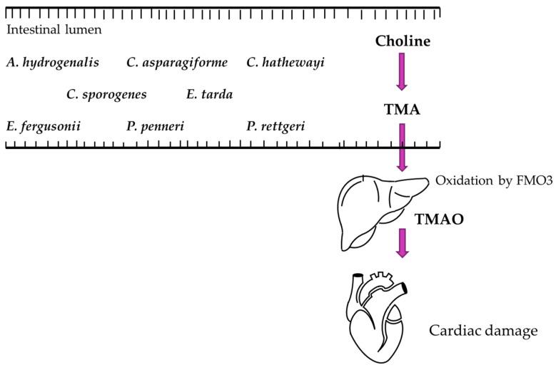 https://cdn.ncbi.nlm.nih.gov/pmc/blobs/546b/11477366/67c862847db7/ijms-25-10397-g002.jpg