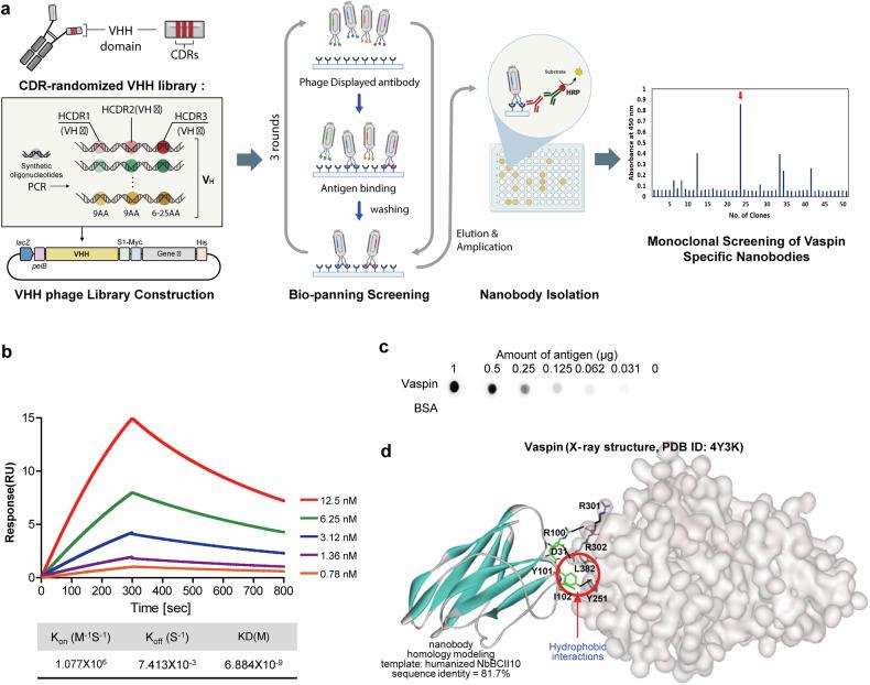 https://cdn.ncbi.nlm.nih.gov/pmc/blobs/547a/11958732/26923434407f/12276_2025_1418_Fig4_HTML.jpg