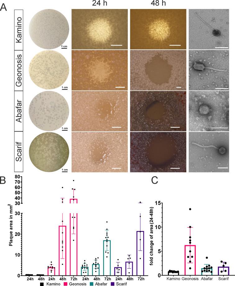 https://cdn.ncbi.nlm.nih.gov/pmc/blobs/547e/11536984/90f646d4a387/spectrum.00663-24.f001.jpg
