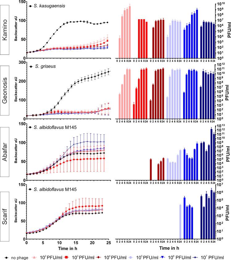https://cdn.ncbi.nlm.nih.gov/pmc/blobs/547e/11536984/ab439bffb61d/spectrum.00663-24.f002.jpg