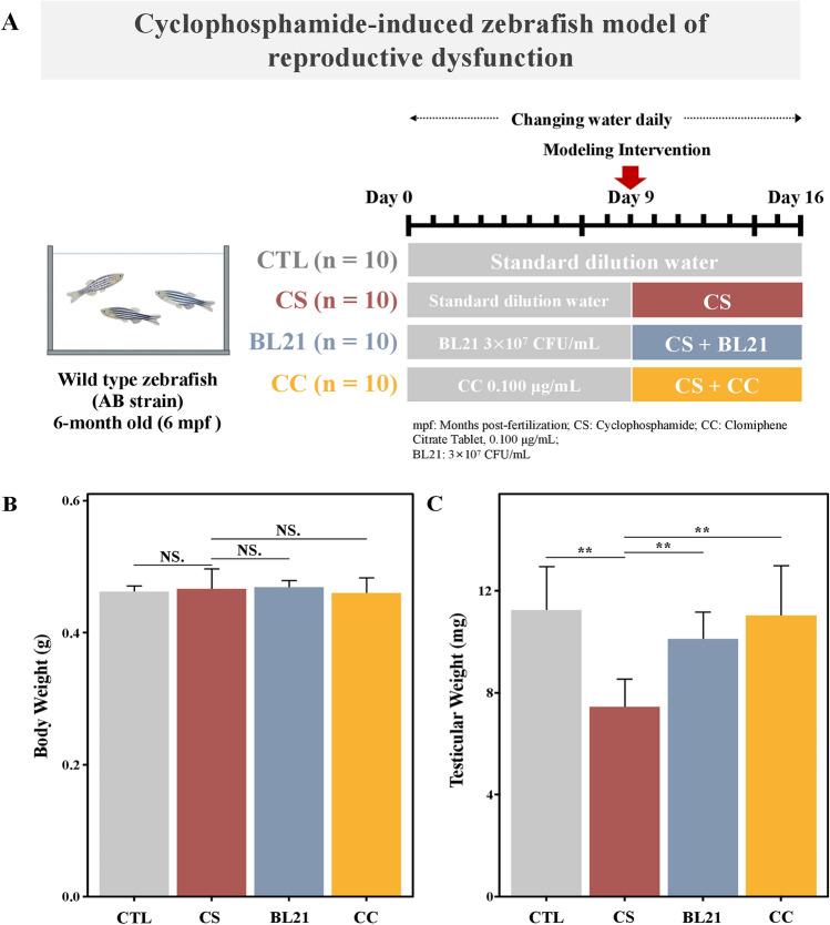 https://cdn.ncbi.nlm.nih.gov/pmc/blobs/548b/12008403/4b41f4775fbd/41598_2025_97721_Fig2_HTML.jpg
