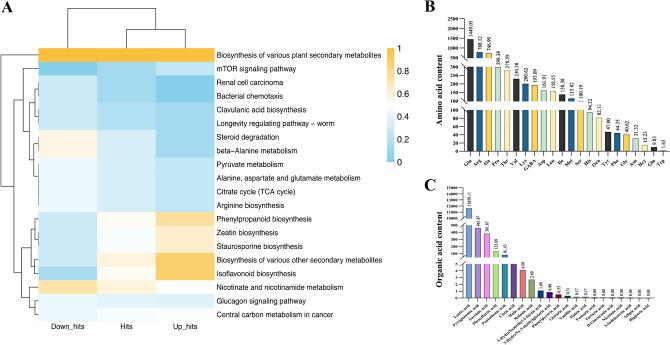 https://cdn.ncbi.nlm.nih.gov/pmc/blobs/548b/12008403/80b662b1834d/41598_2025_97721_Fig1_HTML.jpg
