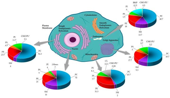 https://cdn.ncbi.nlm.nih.gov/pmc/blobs/54b2/11509253/5c5cb17acdb3/membranes-14-00220-g004.jpg