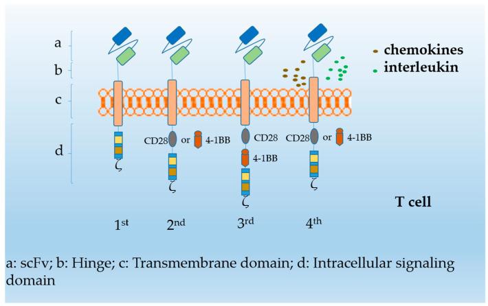 https://cdn.ncbi.nlm.nih.gov/pmc/blobs/54cd/9496667/04930923dc57/cancers-14-04452-g001.jpg