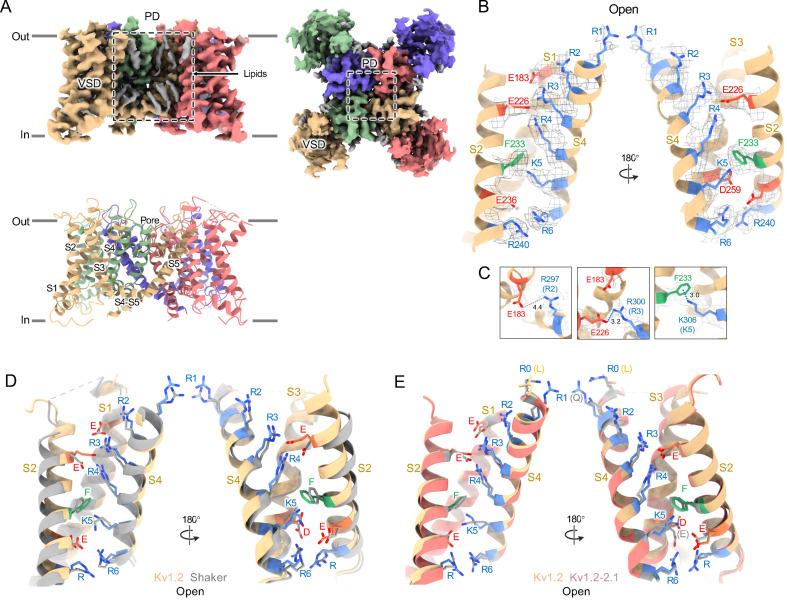 https://cdn.ncbi.nlm.nih.gov/pmc/blobs/54d1/11825129/0c2cc0aceecf/elife-89459-fig1.jpg