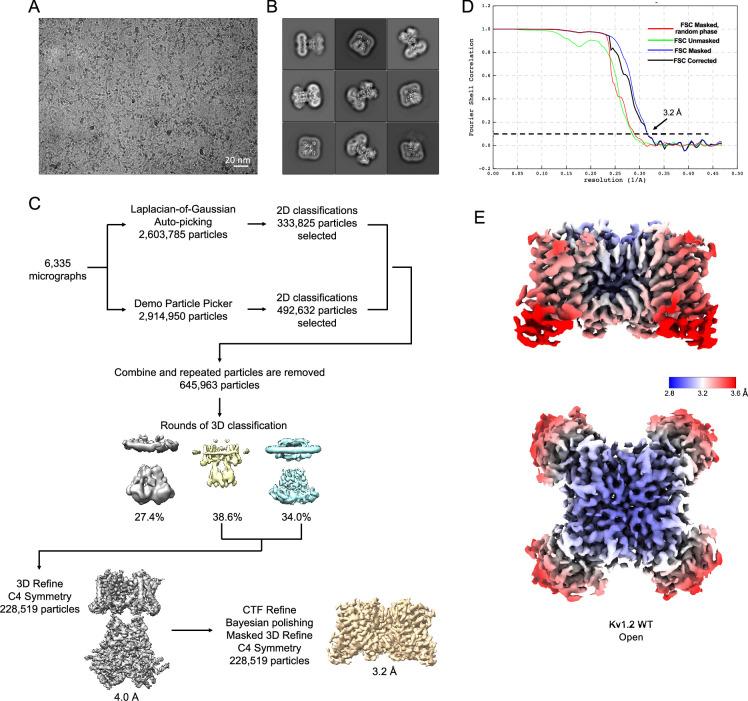 https://cdn.ncbi.nlm.nih.gov/pmc/blobs/54d1/11825129/c4d966ba7f75/elife-89459-fig1-figsupp1.jpg