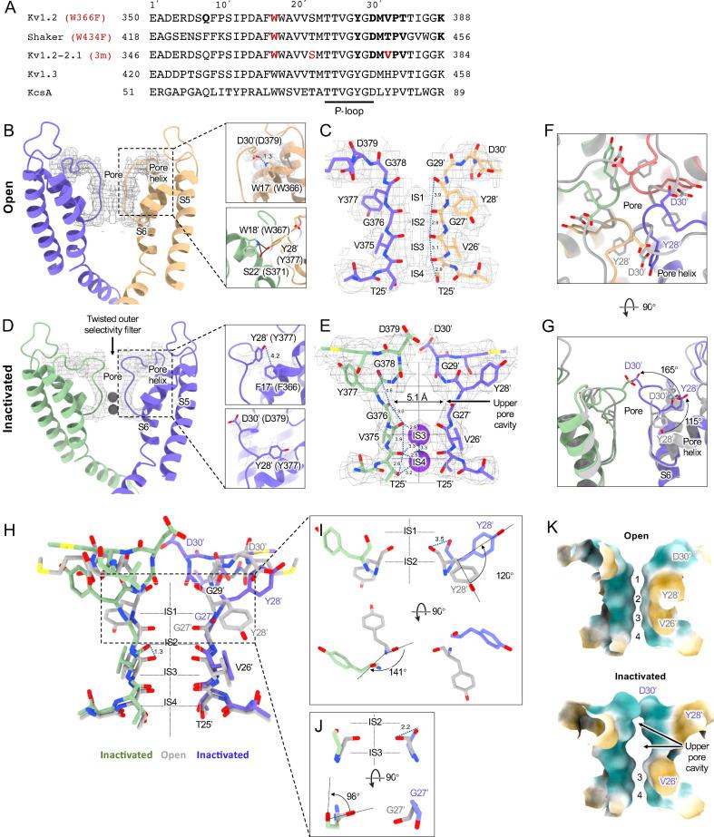 https://cdn.ncbi.nlm.nih.gov/pmc/blobs/54d1/11825129/dba58104b2e5/elife-89459-fig2.jpg