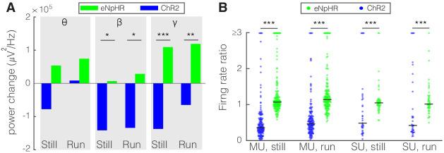 https://cdn.ncbi.nlm.nih.gov/pmc/blobs/54e6/8064751/33a13e28f018/elife-61437-fig8.jpg