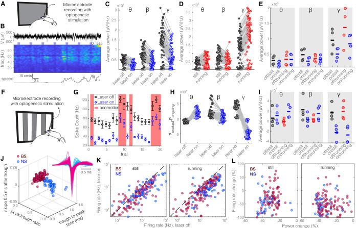 https://cdn.ncbi.nlm.nih.gov/pmc/blobs/54e6/8064751/91037d14afc0/elife-61437-fig2.jpg