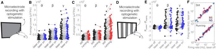https://cdn.ncbi.nlm.nih.gov/pmc/blobs/54e6/8064751/96e002a8054f/elife-61437-fig4.jpg