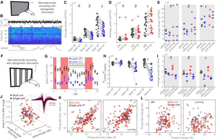 https://cdn.ncbi.nlm.nih.gov/pmc/blobs/54e6/8064751/eadbd94941f3/elife-61437-fig7-figsupp1.jpg