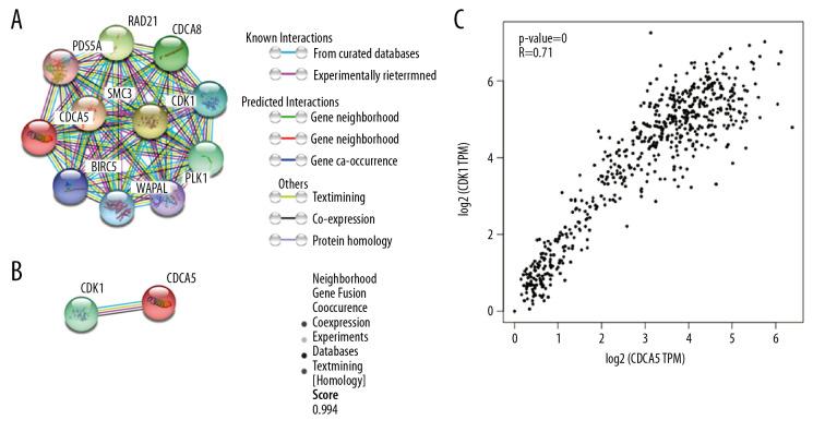 https://cdn.ncbi.nlm.nih.gov/pmc/blobs/54f2/7431384/30e57dc4dfea/medscimonit-26-e923664-g001.jpg