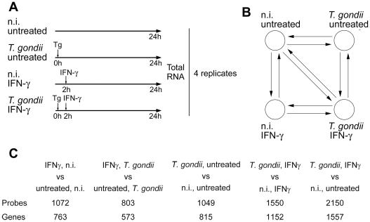 https://cdn.ncbi.nlm.nih.gov/pmc/blobs/550b/3262016/0d3b6d0d9dee/ppat.1002483.g001.jpg