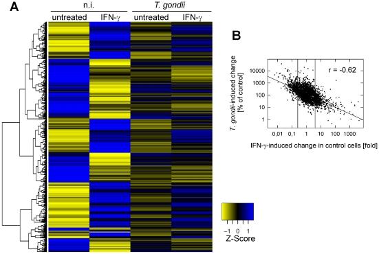 https://cdn.ncbi.nlm.nih.gov/pmc/blobs/550b/3262016/df5d7f4e9e09/ppat.1002483.g002.jpg