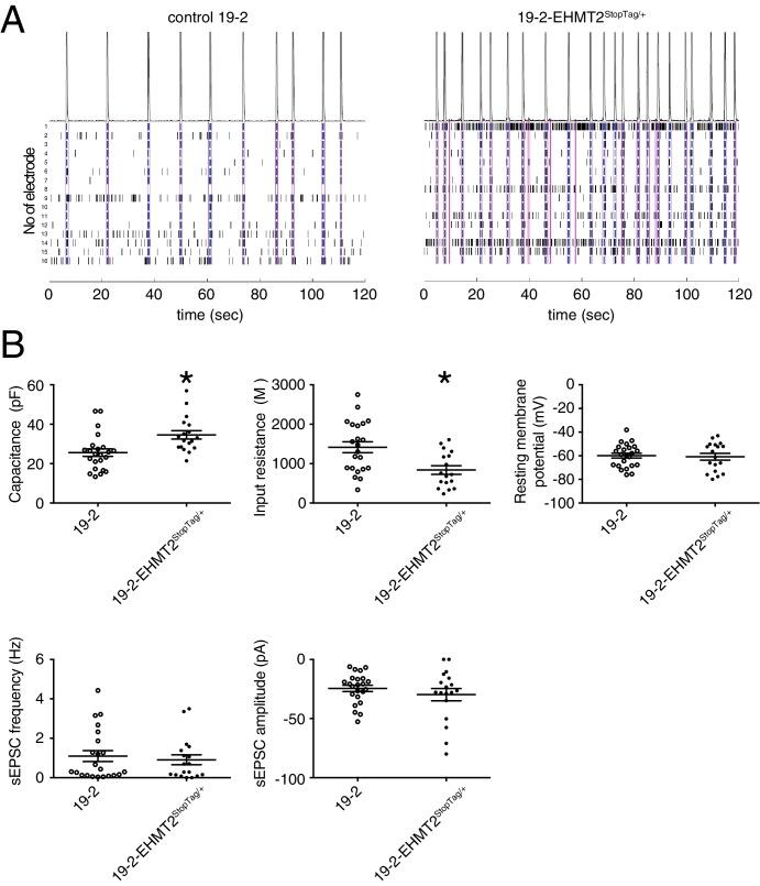 https://cdn.ncbi.nlm.nih.gov/pmc/blobs/5528/6372285/a17fcf818387/elife-40092-fig6-figsupp2.jpg