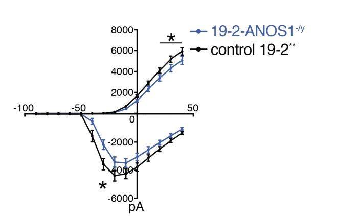 https://cdn.ncbi.nlm.nih.gov/pmc/blobs/5528/6372285/a24ab20f9753/elife-40092-resp-fig1.jpg